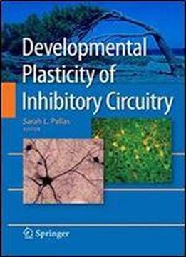 Developmental Plasticity Of Inhibitory Circuitry