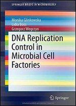 Dna Replication Control In Microbial Cell Factories (springerbriefs In Microbiology)