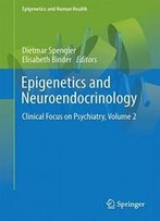 Epigenetics And Neuroendocrinology: Clinical Focus On Psychiatry, Volume 2 (Epigenetics And Human Health)