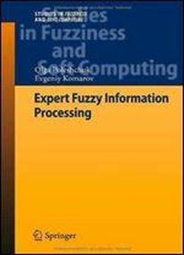 Expert Fuzzy Information Processing (studies In Fuzziness And Soft Computing)