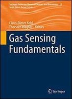 Gas Sensing Fundamentals (Springer Series On Chemical Sensors And Biosensors)