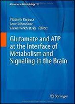 Glutamate And Atp At The Interface Of Metabolism And Signaling In The Brain (advances In Neurobiology)