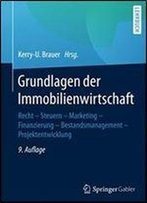 Grundlagen Der Immobilienwirtschaft: Recht - Steuern - Marketing - Finanzierung - Bestandsmanagement - Projektentwicklung