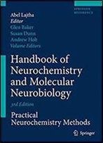 Handbook Of Neurochemistry And Molecular Neurobiology: Practical Neurochemistry Methods (Springer Reference)