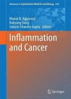 Inflammation And Cancer (Advances In Experimental Medicine And Biology)