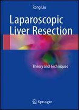 Laparoscopic Liver Resection: Theory And Techniques