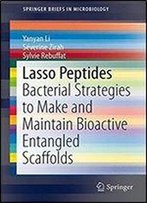 Lasso Peptides: Bacterial Strategies To Make And Maintain Bioactive Entangled Scaffolds (Springerbriefs In Microbiology)