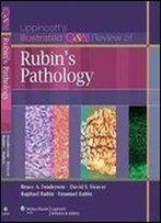 Lippincott's Illustrated Q&A Review Of Rubin's Pathology, 2nd Edition