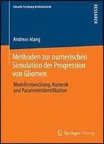 Methoden Zur Numerischen Simulation Der Progression Von Gliomen: Modellentwicklung, Numerik Und Parameteridentifikation (Aktuelle Forschung ... In Medical Engineering)