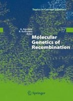 Molecular Genetics Of Recombination (Topics In Current Genetics)