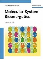 Molecular System Bioenergetics