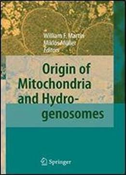 Origin Of Mitochondria And Hydrogenosomes
