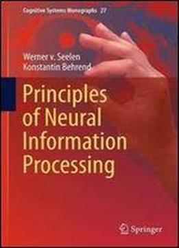 Principles Of Neural Information Processing (cognitive Systems Monographs)
