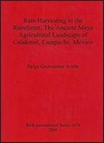 Rain Harvesting In The Rainforest: The Ancient Maya Agricultural Landscape Of Calakmul, Campeche, Mexico (Bar International Series)