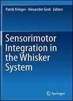 Sensorimotor Integration In The Whisker System