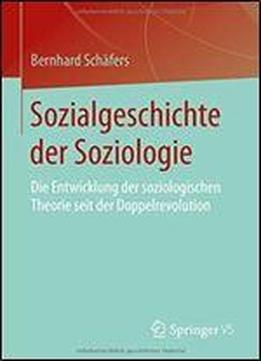 Sozialgeschichte Der Soziologie: Die Entwicklung Der Soziologischen Theorie Seit Der Doppelrevolution