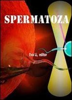 Spermatozoa