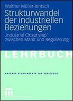Strukturwandel Der Industriellen Beziehungen: 'Industrial Citizenship' Zwischen Markt Und Regulierung (Studientexte Zur Soziologie)