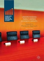 Understanding Family-Owned Business Groups: Towards A Pluralistic Approach (Palgrave Studies In Democracy, Innovation, And Entrepreneurship For Growth)
