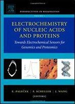 Electrochemistry Of Nucleic Acids And Proteins, Volume 1: Towards Electrochemical Sensors For Genomics And Proteomics (Perspectives In Bioanalysis)