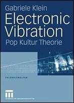 Electronic Vibration: Pop Kultur Theorie (Erlebniswelten)