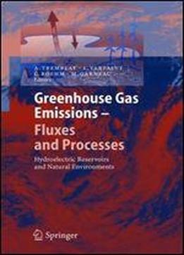 Greenhouse Gas Emissions - Fluxes And Processes: Hydroelectric Reservoirs And Natural Environments (environmental Science And Engineering / Environmental Science)