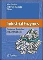 Industrial Enzymes: Structure, Function And Applications