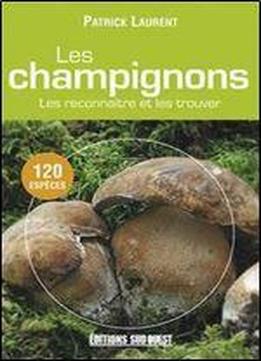 Les Champignons : Les Reconnaitre Et Les Trouver