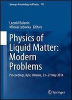 Physics Of Liquid Matter: Modern Problems