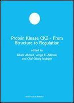 Protein Kinase Ck2 - From Structure To Regulation (developments In Molecular And Cellular Biochemistry)