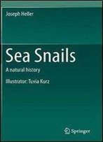 Sea Snails: A Natural History