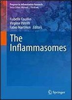 The Inflammasomes (Progress In Inflammation Research)