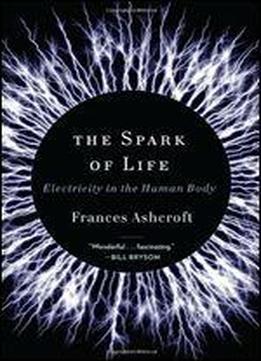 The Spark Of Life: Electricity In The Human Body