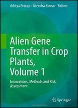 Alien Gene Transfer In Crop Plants, Volume 1: Innovations, Methods And Risk Assessment