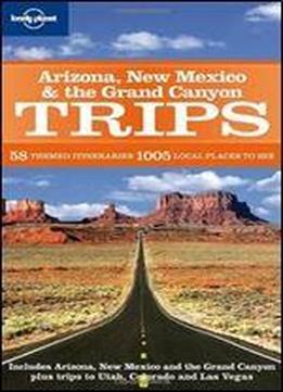 Arizona New Mexico & The Grand Canyon Trips (regional Travel Guide)