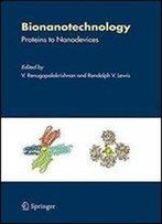 Bionanotechnology: Proteins To Nanodevices