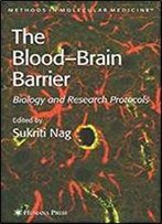 Blood'brain Barrier: Biology And Research Protocols (Methods In Molecular Medicine)