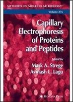 Capillary Electrophoresis Of Proteins And Peptides