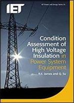 Condition Assessment Of High Voltage Insulation In Power System Equipment (Energy Engineering)