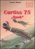 Curtiss 75 'Hawk' Vol.I