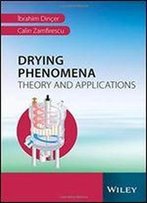 Drying Phenomena: Theory And Applications
