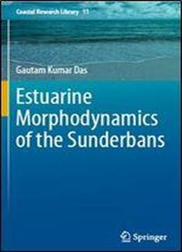 Estuarine Morphodynamics Of The Sunderbans