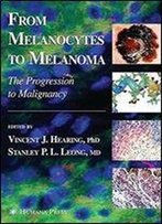 From Melanocytes To Melanoma