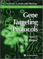 Gene Targeting Protocols (Methods In Molecular Biology)