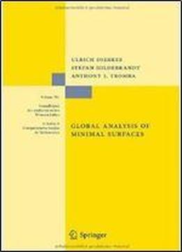 Global Analysis Of Minimal Surfaces (2nd Edition)