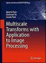 Multiscale Transforms With Application To Image Processing (Signals And Communication Technology)