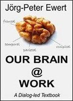 Our Brain @ Work: A Dialog-Led Textbook