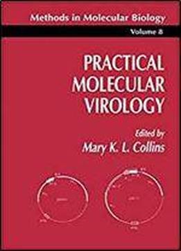 Practical Molecular Virology (methods In Molecular Biology)