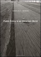 Public Policy In An Uncertain World: Analysis And Decisions