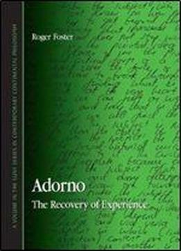 Roger Foster - Adorno: The Recovery Of Experience